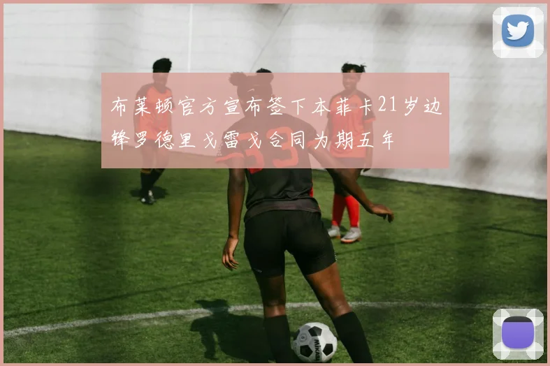 布莱顿官方宣布签下本菲卡21岁边锋罗德里戈雷戈合同为期五年